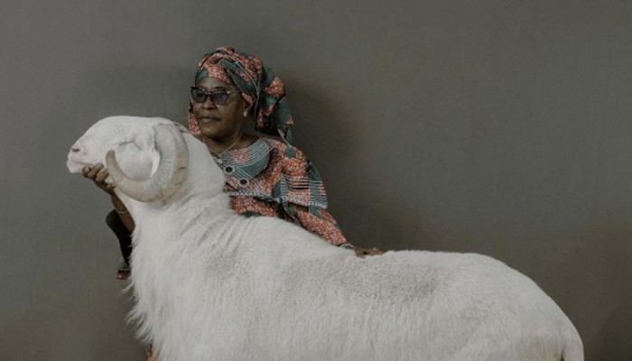 বিশ্বের সবচেয়ে দামি ভেড়া যেখানে 